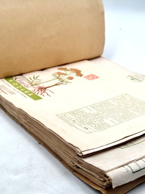 HERBAPOL - Collection of 90 packages for herbs and herbal products of the Herbapol factory - 1950s [ herbs, herbalism, medicinal plants ].