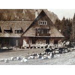 Schronisko na Hali Ornak - Tatry, ok. 1960 rok [ Kościelisko, Dolina Kościeliska ]