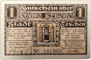 1 Crown - Cieszyn - cash register endorsement, 1919 [ notgeld ].