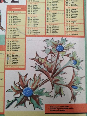 League of Nature Conservation's calendar for 1962