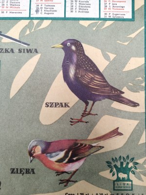 Conservation League Calendar for 1963