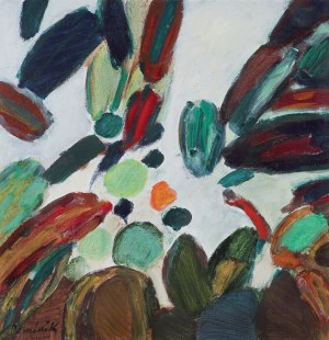 Tadeusz Dominik, GARDEN, circa 1980.