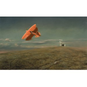 Maksymilian Novák-Zempliński, ALATUS, 2009