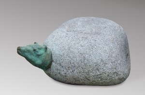 Bronislaw Chromy, ANIMAL