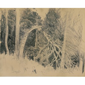 Leon Wyczółkowski, LAS
