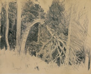 Leon Wyczółkowski, LAS