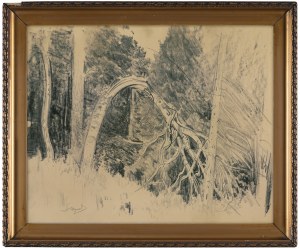 Leon Wyczółkowski, LAS