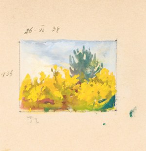 Soter August JAXA-MAŁACHOWSKI (1867-1952), Wzburzone morze, 1939