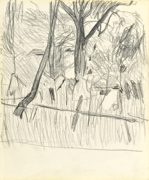 Stanisław KAMOCKI (1875-1944), Drzewo, VI 1903