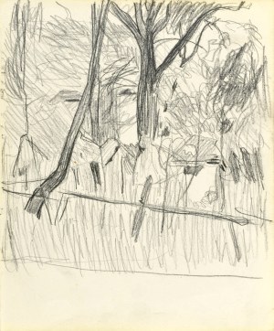 Stanislaw KAMOCKI (1875-1944), Tree, VI 1903