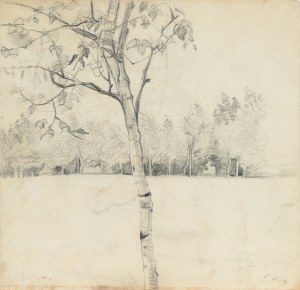 Emilia KNAUSÓWNA (1883-1924), Landscape with trees