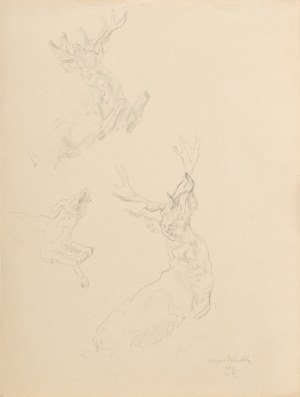 Kasper POCHWALSKI (1899-1971), Studies of animals - a deer and a dog