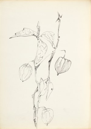Zdzislaw STANEK (1925-1996), Study of bellows