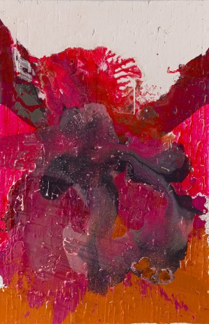 Izabela Chamczyk (b. 1980, Częstochowa), 