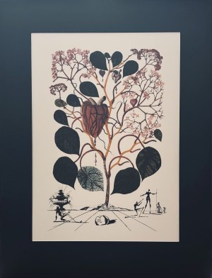 Salvador Dalí (1904 -1989), From the Flordali series: Le Begonia