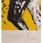 Salvador Dali (1904 - 1989), Peace in Vietnam Suite, 1973. Zestaw 4 litografii.