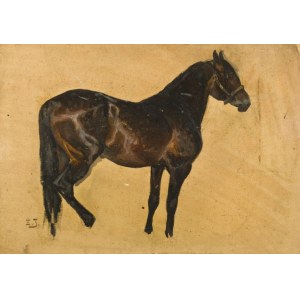 Zygmunt JÓZEFCZYK, STUDIUM KAREGO KONIAOlej, tektura; 32 x 47 cmSygnowany l.d.: Z. J.; śr.p. nieczytelny napis ołówkiem