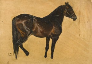 Zygmunt JÓZEFCZYK, STUDIUM KAREGO KONIAOlej, cardboard; 32 x 47 cmSigned l.d.: Z. J.; middle p. illegible pencil inscription