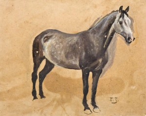 Zygmunt JÓZEFCZYK, SIWKA STUDIUMOil, cardboard; 35 x 44 cmSigned l.d.: Z.J.