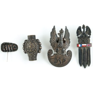 ODZNAKI DSP