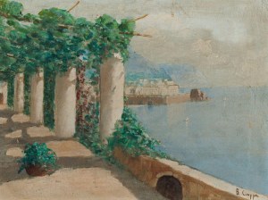 Painter unrecognized