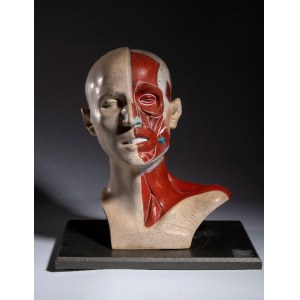 Didattica - PARAVIA (?) - Corpo umano