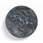 Olympics, Rome 1960, commemorative medal