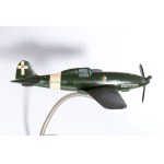 AER MACCHI G202 modello