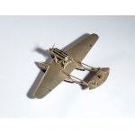 SAVOIA MARCHETTI SM55X
