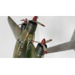 Aviazione - SAVOIA MARCHETTI - SM79