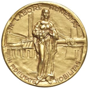 Medals - Award medal of the Italcementi Company - Opus: ...