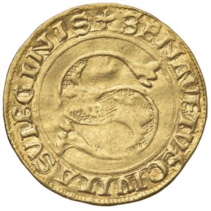 Italian coins - SIENA Repubblica (1434-1555) Ducato largo (1450-14...