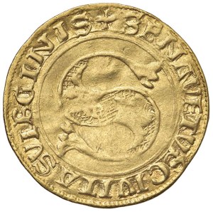 Italian coins - SIENA Repubblica (1434-1555) Ducato largo (1450-14...