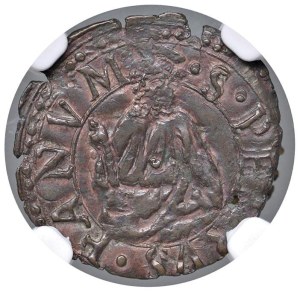 Papal coins - Gregory XIII (1572-1585) Fano - Quattrino - Berma...