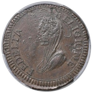 Papal coins - Repubblica romana (1798-1799) Ronciglione - Madonn...