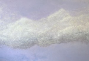 Weronika Sobecka, Cotton, 2025