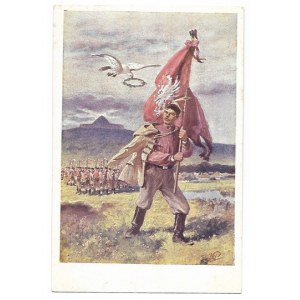 [SOKÓŁ, Towarzystwo Gimnastyczne]. [Bez tytułu].