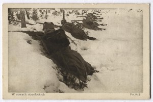 [NKN]. Serya I. Rafaelova. In shooting ditches.