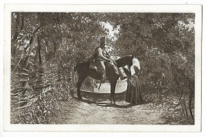 [NKN]. Seriea VI. Beliniacs. Lancer and girl.