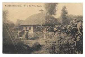 [Malo-Russia]. Malorossian tips [in Cyrillic]. Types de Petite Russie.
