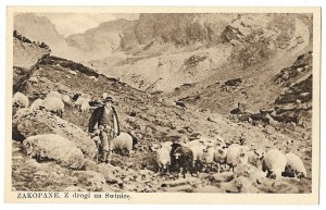 [TATRY]. Zakopane. From the road to Swinica.