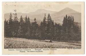 [TATARS]. Tatars. Landscape in the Gorgans.