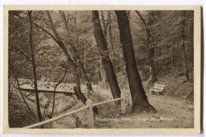 [TRUSKAWIEC]. Truskavets. Park - the road to 
