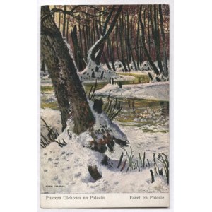 UZIEMBŁO Henryk - Puszcza Olchowa na Polesiu. Foret en Polesie.