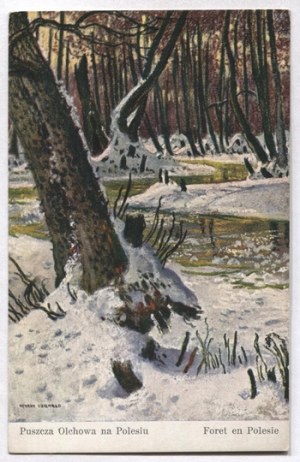 UZIEMBŁO Henryk - Olchova forest in Polesie. Foret en Polesie.