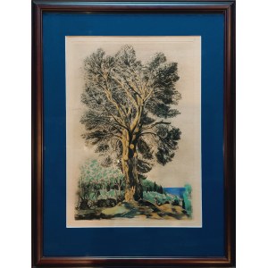 Mojżesz KISLING (1891-1953), Drzewo na Cote Azur, 1954