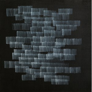 Anna Szprynger, Senza titolo (48), 2011