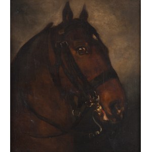 Piotr Michałowski (1800 Kraków - 1855 Krzyżtoporzyce k. Krakowa), Głowa konia, około 1840