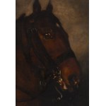 Piotr Michałowski (1800 Kraków - 1855 Krzyżtoporzyce k. Krakowa), Głowa konia, około 1840