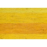 Leon Tarasewicz (b. 1957, Waliły in Podlasie), Untitled, 1998